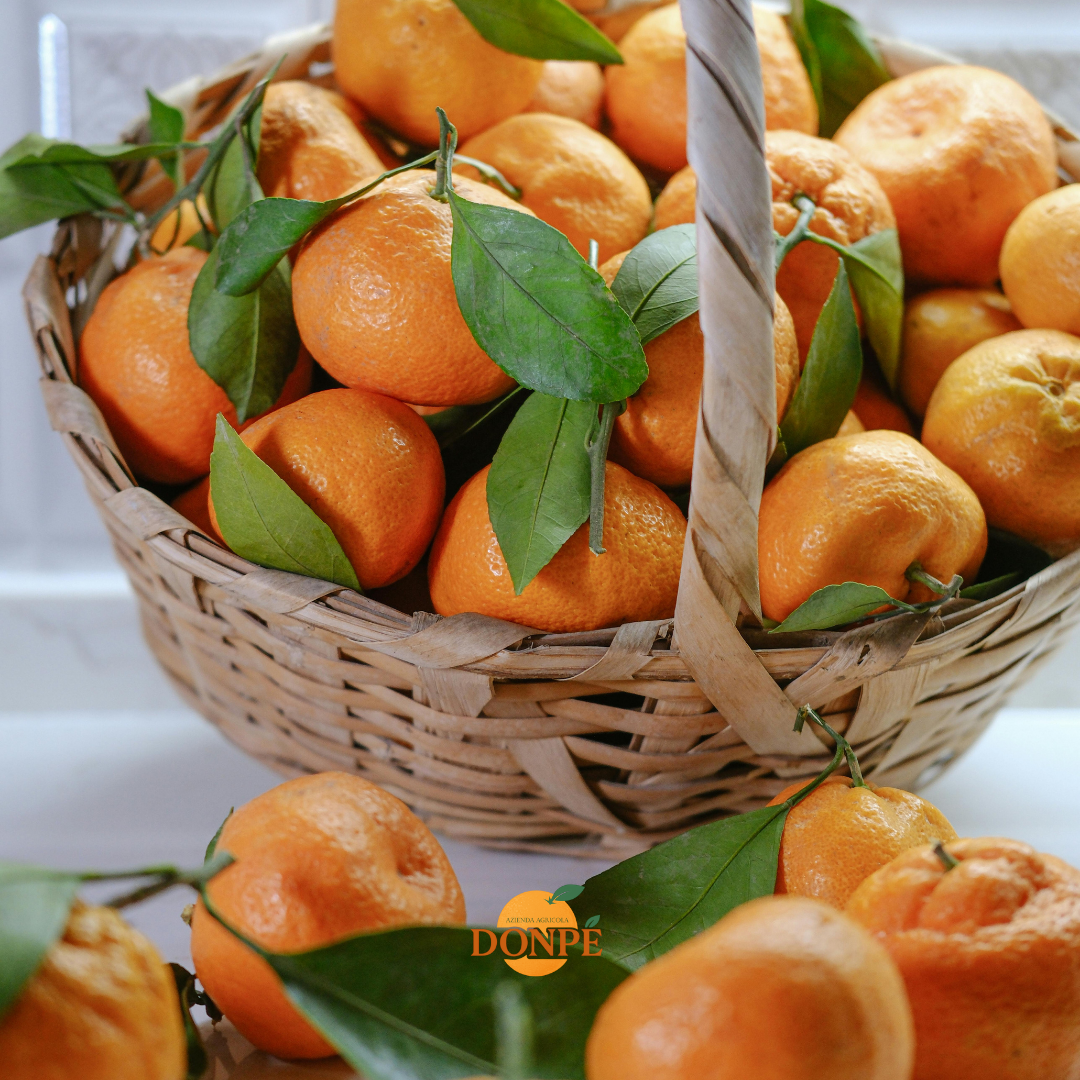 Mandarini Siciliani: Curiosità e Segreti degli Agrumi Invernali