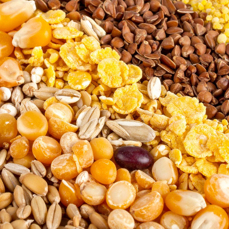 Frutta secca